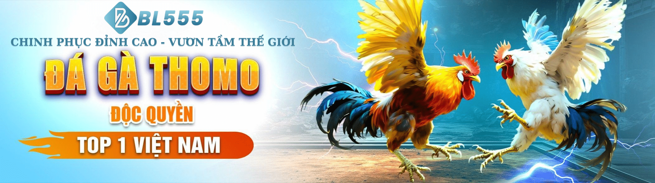chinh phục đỉnh cao vươn tầm thế giới