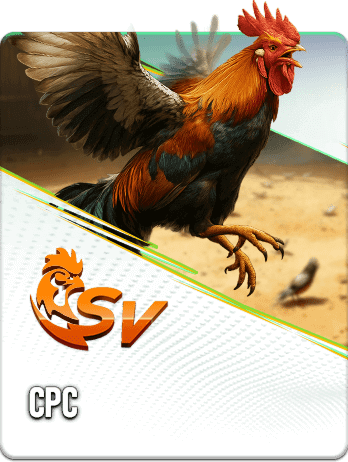 BL555